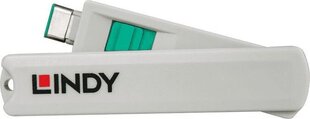 Lindy USB-C, 1 штука цена и информация | Кабели и провода | kaup24.ee