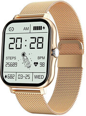 Wotchi WO2GT Gold hind ja info | Nutikellad (smartwatch) | kaup24.ee