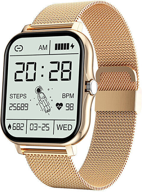 Wotchi WO2GT Gold hind ja info | Nutikellad (smartwatch) | kaup24.ee