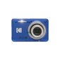 Kodak Friendly Zoom FZ55 цена и информация | Fotoaparaadid | kaup24.ee