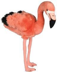 Flamingo roosa 46 cm цена и информация | Мягкие игрушки | kaup24.ee