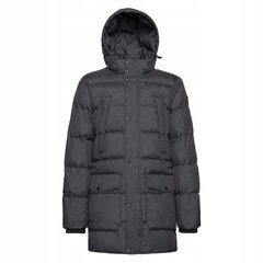 Куртка Geox для мужчин 8050036902252, серый цвет цена и информация | Мужские куртки | kaup24.ee