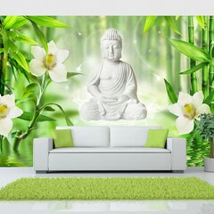 Fototapeet - Buddha and nature hind ja info | Fototapeedid | kaup24.ee