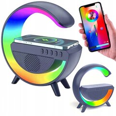 RGB светодиодный свет с динамиком цена и информация | Зарядные устройства для телефонов | kaup24.ee