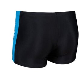 Ujumispüksid poistele Arena Thrice Jr Shorts hind ja info | Poiste ujumispüksid | kaup24.ee