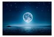 Fototapeet - Moonlit night hind ja info | Fototapeedid | kaup24.ee