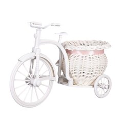 Горшок, цветочная корзина в дизайне трехколесного велосипеда цена и информация | Вазоны | kaup24.ee
