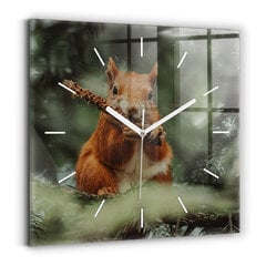 Seinakell Orav Ja Metsik Loomus, 30x30 cm цена и информация | Часы | kaup24.ee