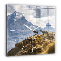 Seinakell Kits Aosta Orus, 30x30 cm hind ja info | Kellad | kaup24.ee