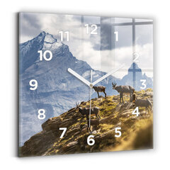 Seinakell Kits Aosta Orus, 30x30 cm hind ja info | Kellad | kaup24.ee