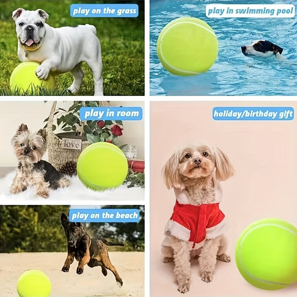 Mängupall koertele Smurf, 24 cm hind ja info | Mänguasjad koertele | kaup24.ee