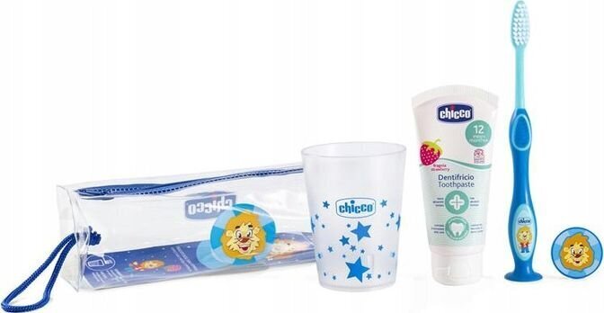 Travel Set hambapasta + hambahari + tass + ümbris 3-6l Sinine цена и информация | Suuhügieen | kaup24.ee