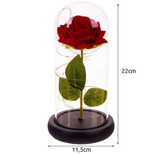 Särav roos hind ja info | Uinuvad roosid, taimed | kaup24.ee