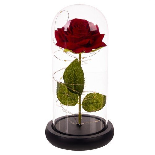 Särav roos цена и информация | Uinuvad roosid, taimed | kaup24.ee