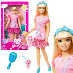 Liikuvate jäsemetega Barbie-nukk цена и информация | Игрушки для девочек | kaup24.ee