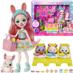 Кукла Enchantimals Bree Bunny Twist цена и информация | MUST Металлическая бутылочка с Ярким рисунком (без BPA) (500ml) для мальчиков от 3+ лет Серая с Машинкой | kaup24.ee