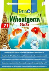 Корм для рыб в виде палочек Tetra Pond Wheatgerm Sticks, 7 л цена и информация | Корм для живой рыбы | kaup24.ee