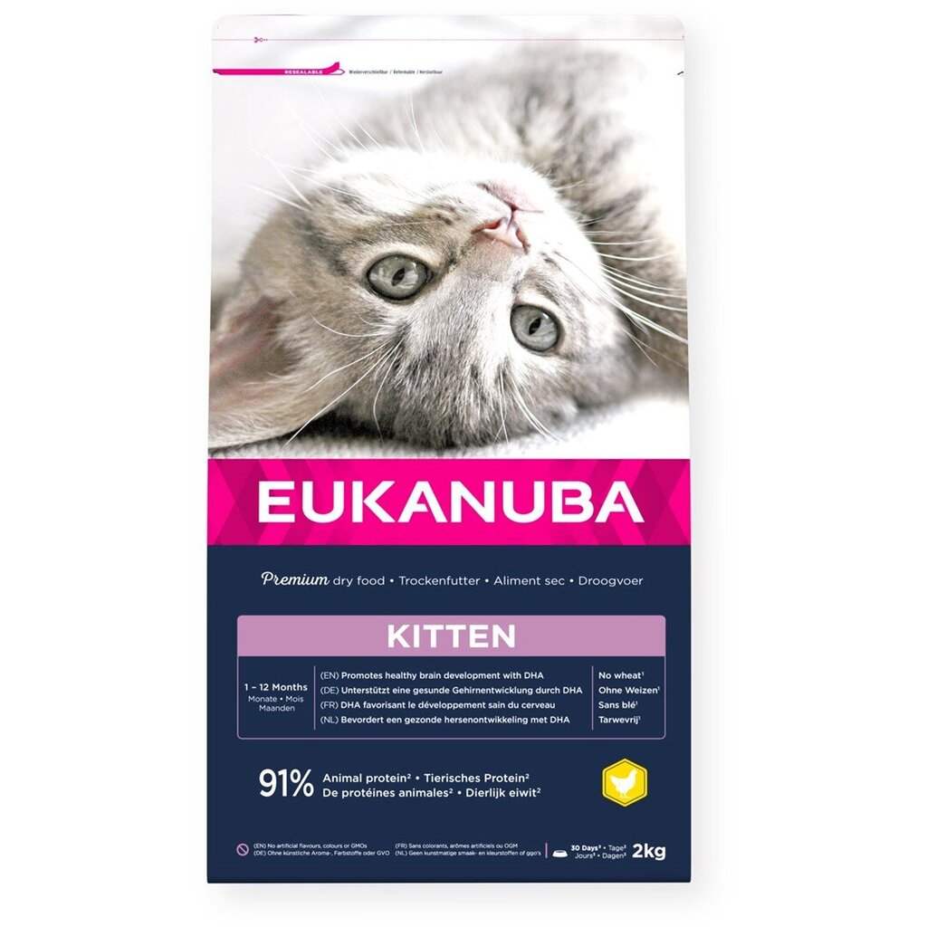 Eukanuba Kitten All Breeds Healthy Start noortele kassipoegadele koos kana ja maksaga, 2 kg цена и информация | Kuivtoit kassidele | kaup24.ee