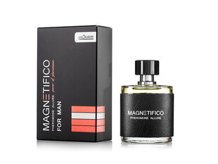 Magnetifico Pheromone Allure Power of Pheromones Meeste parfüüm feromoonidega hind ja info | Feromoonid | kaup24.ee