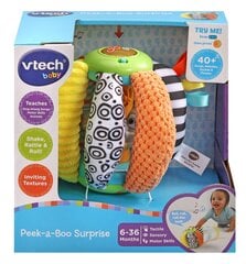 Kõristi Vtech Hideout hind ja info | Imikute mänguasjad | kaup24.ee