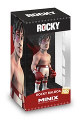 Figuur Minix Rocky, 12 cm hind ja info | Tüdrukute mänguasjad | kaup24.ee