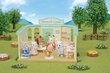 Kingikomplekt Sylvanian Families Village Doctor цена и информация | Poiste mänguasjad | kaup24.ee