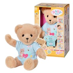 Baby Born Pehme mängukaru, 43 cm цена и информация | Игрушки для девочек | kaup24.ee