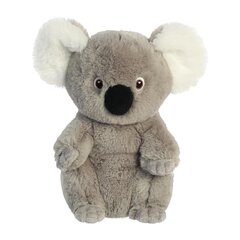 Мягкая игрушка Aurora Eco Nation коала, 20 см цена и информация | Мягкие игрушки | kaup24.ee
