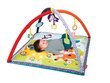 Õppematt Infantino Safari hind ja info | Imikute mänguasjad | kaup24.ee