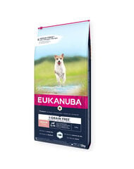 Eukanuba Grain Free Senior väikest ja keskmist tõugu vanematele koertele koos ookeanikaladega, 3 kg цена и информация | Сухой корм для собак | kaup24.ee