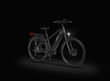 Elektrijalgratas Ecobike MX 500 21", 14,5Ah Greenway, tumehall цена и информация | Elektrirattad | kaup24.ee