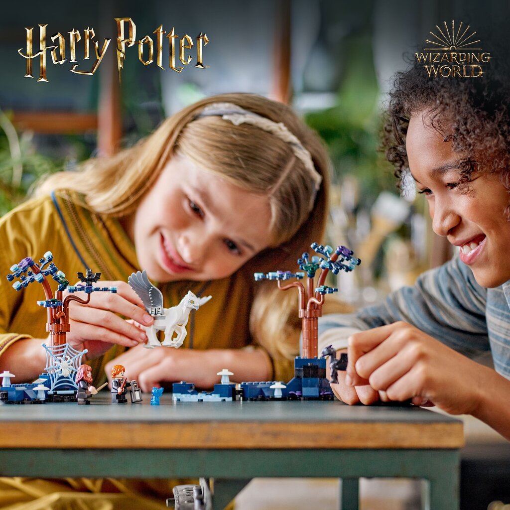 76432 Lego® Harry Potter Keelatud mets: maagilised olendid hind ja info | Klotsid ja konstruktorid | kaup24.ee