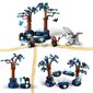 76432 Lego® Harry Potter Keelatud mets: maagilised olendid hind ja info | Klotsid ja konstruktorid | kaup24.ee