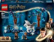76432 Lego® Harry Potter Keelatud mets: maagilised olendid hind ja info | Klotsid ja konstruktorid | kaup24.ee