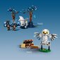 76432 Lego® Harry Potter Keelatud mets: maagilised olendid hind ja info | Klotsid ja konstruktorid | kaup24.ee