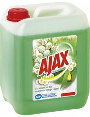 AJAX Universaalne puhastusvahend Green 5 l hind ja info | Puhastusvahendid | kaup24.ee