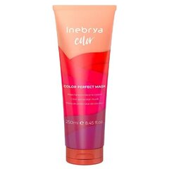 Маска для защиты цвета волос Inebrya Color Perfect, 250 мл цена и информация | Бальзамы, кондиционеры | kaup24.ee