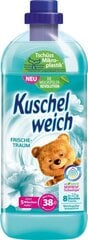 Смягчающее средство для белья Kuschelweich Frische Traum, 1 л цена и информация | Средства для стирки | kaup24.ee