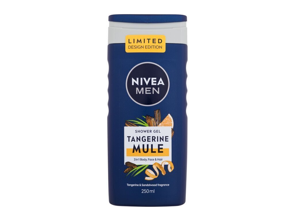 Dušigeel Nivea Men meestele, 250 ml hind ja info | Dušigeelid, õlid | kaup24.ee