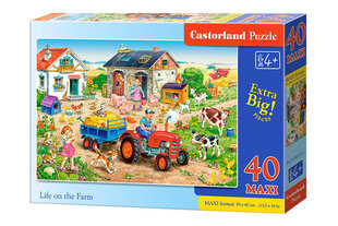 Pusle Elu talus Castroland, 40 tk hind ja info | Pusled | kaup24.ee