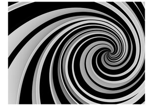 Fototapeet - Black and white swirl цена и информация | Фотообои | kaup24.ee