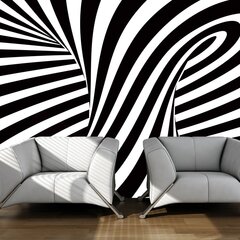 Fototapeet - optical art: black and white hind ja info | Fototapeedid | kaup24.ee