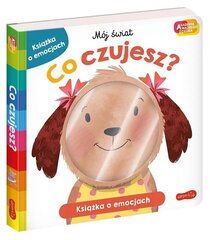 Raamat Mida sa tunned? Tarkade laste akadeemia hind ja info | Väikelaste raamatud | kaup24.ee