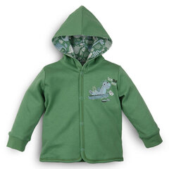 Кофточка для мальчика Nini, ABN-3158 цена и информация | Кофточки, джемперы, пиджаки для младенцев | kaup24.ee