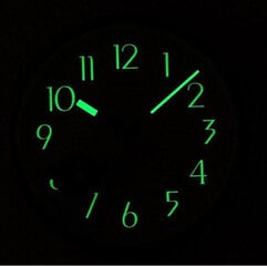 Настенные часы Rhythm CMG727NR19 цена и информация | Часы | kaup24.ee