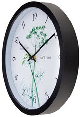 Nextime Уличные настенные часы Anethium 4315 цена и информация | Часы | kaup24.ee