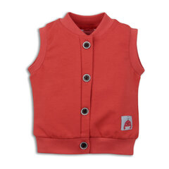 Vest poisile Nini, ABN-3367 hind ja info | Beebikampsunid, vestid, dressipluusid | kaup24.ee