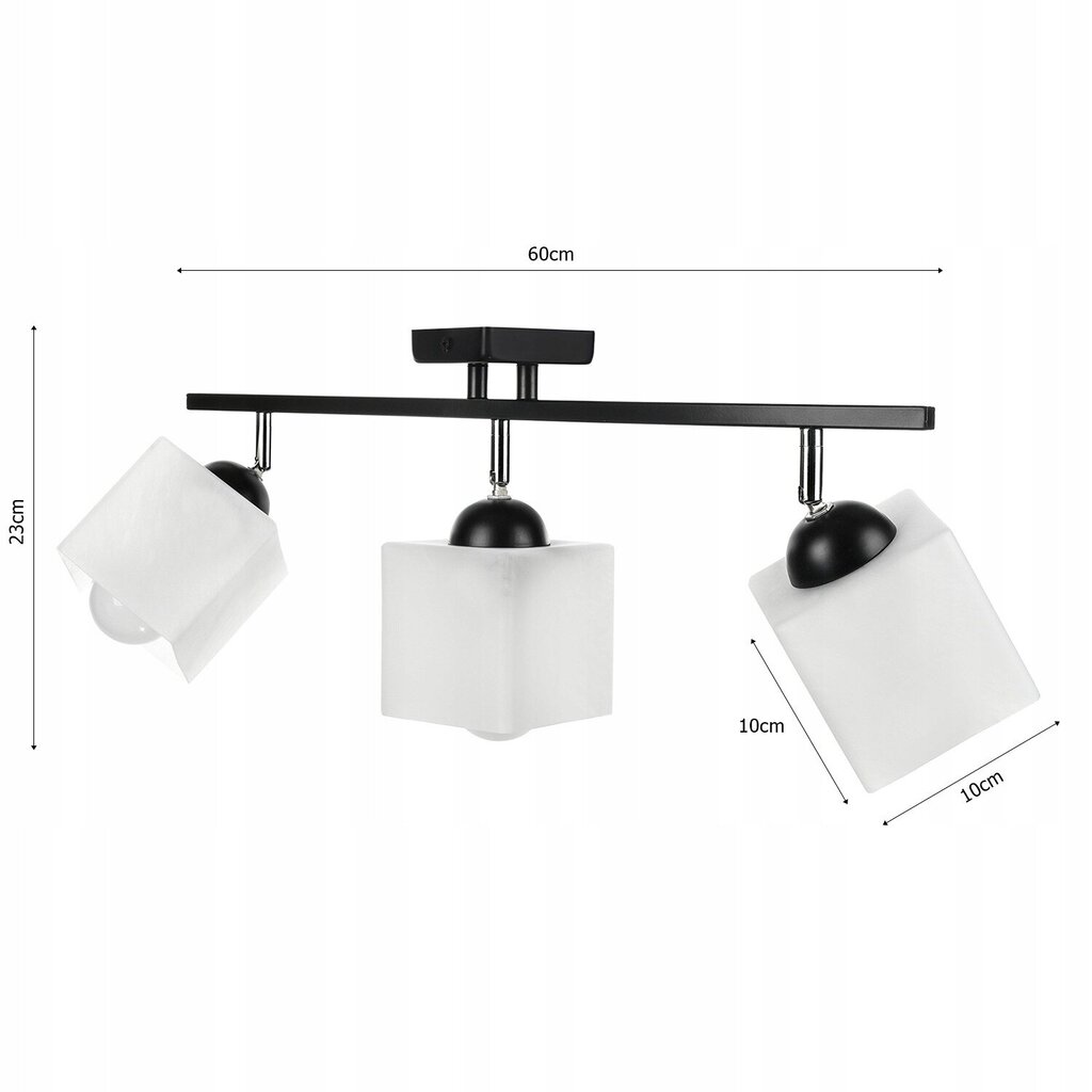 Led-lux laevalgusti цена и информация | Laelambid | kaup24.ee