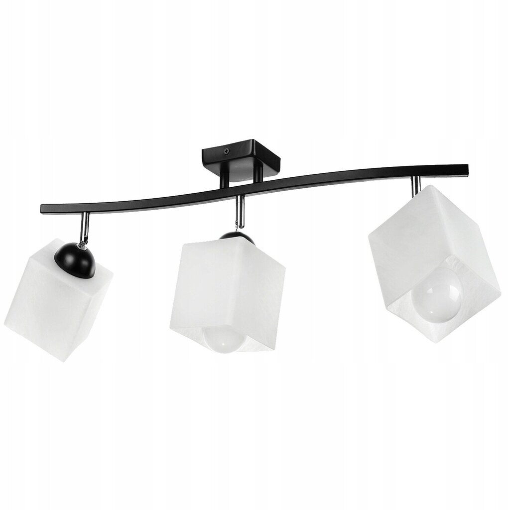 Led-lux laevalgusti hind ja info | Laelambid | kaup24.ee