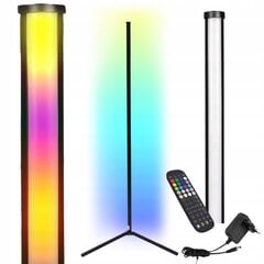 RGB LED торшер с дистанционным управлением цена и информация | Торшеры | kaup24.ee